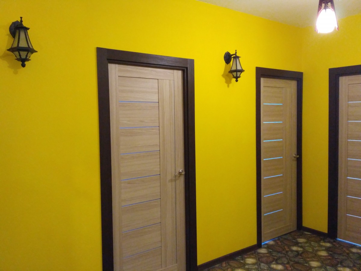 Двери Разных Цветов В Квартире Фото