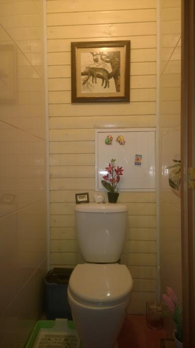 Ламинат на стене в туалете (56 фото)