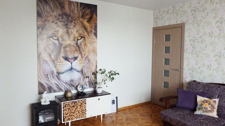 фото:Квартира со львом. Гостиная/Прихожая/Коридор