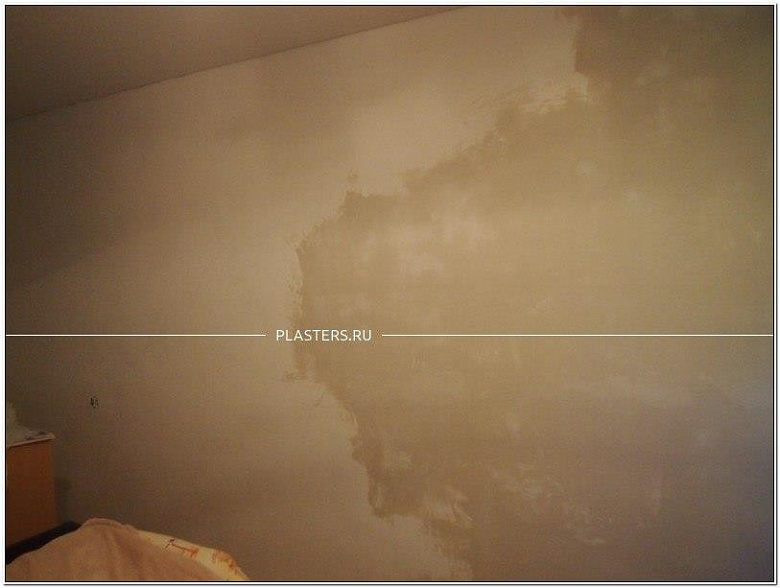 Цветок и бабочка - ремонт с жидкими обоями SILK PLASTER фото:Цветок и бабочка - ремонт с жидкими обоями SILK PLASTER