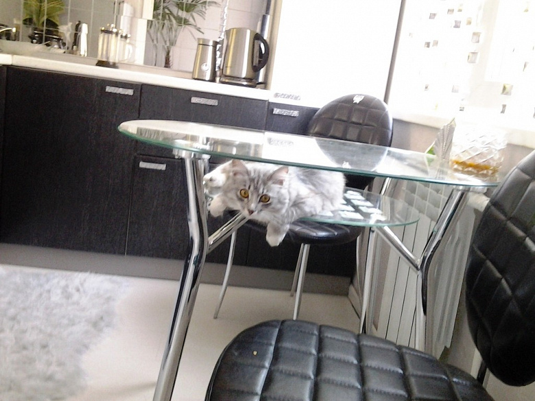 фото:Самая маленькая кухня на этом сайте. Но зато какая!)))