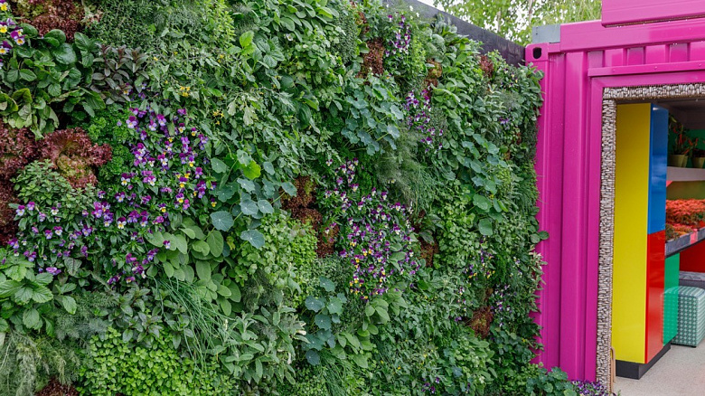 фото:Сад тоже может быть модным. 5 актуальных трендов в мировом ландшафтном дизайне