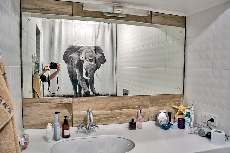 фото:Ванная со слоном