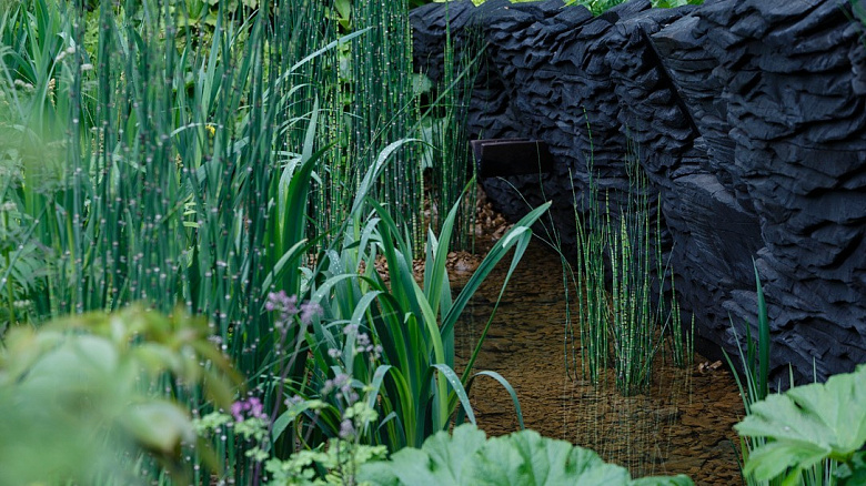 фото:Сад тоже может быть модным. 5 актуальных трендов в мировом ландшафтном дизайне