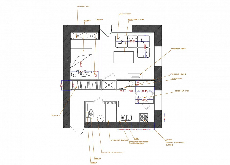 Дизайн квартиры-студии площадью 29 метров в скандинавском стиле с двумя гардеробами