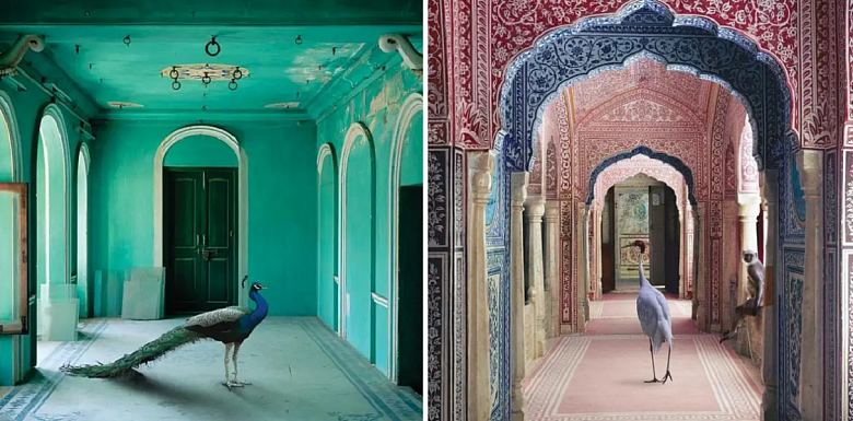 фото: