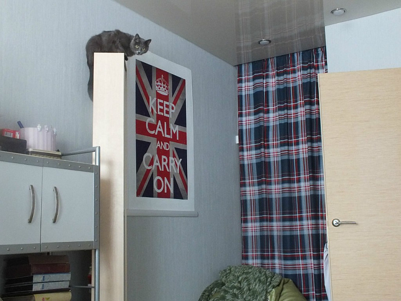 Взрослая дочь в маленькой комнатке фото:Взрослая дочь в маленькой комнатке