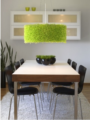 Озеление лампы фото:Озеление лампы